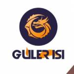 GÜLER ISI Profile Picture